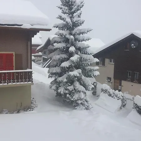 Haus Apollo